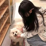 料理次元手游qq版下载